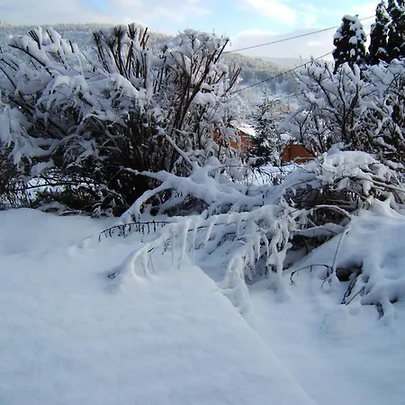 게스트하우스 L'epinette 제라르메르