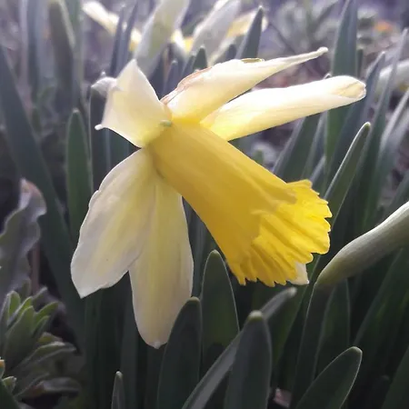 게스트하우스 L'epinette 3*