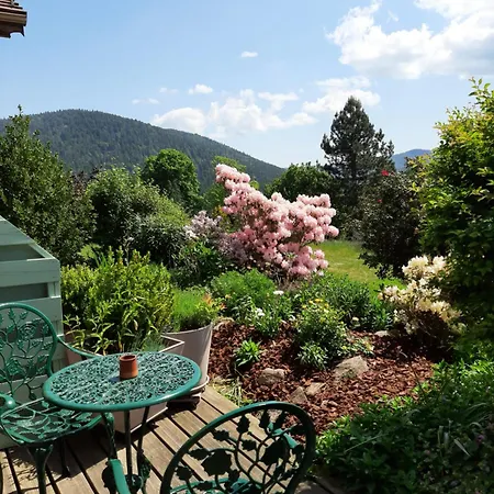L'epinette Gérardmer