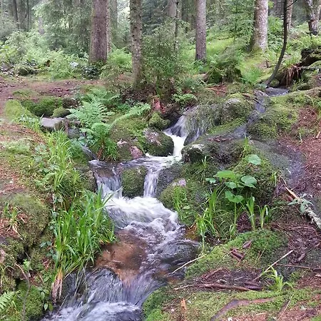 L'epinette 게스트하우스