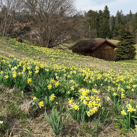 L'epinette * Gerardmer