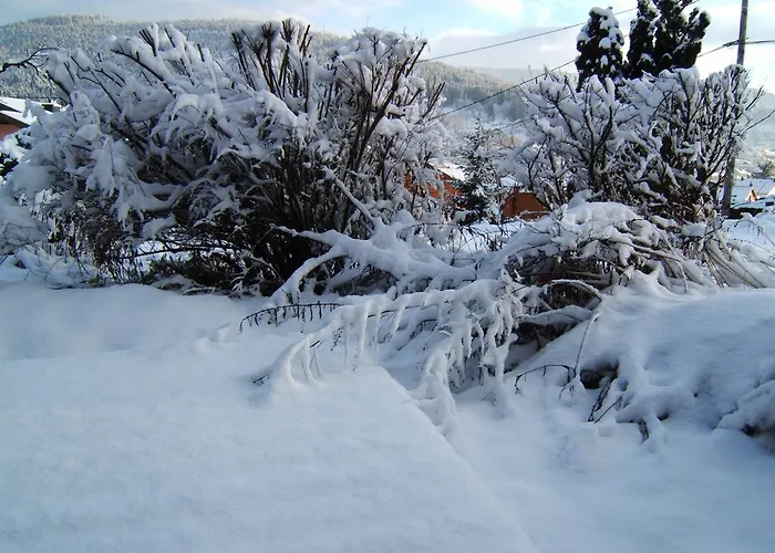 Penzion L'epinette Gérardmer