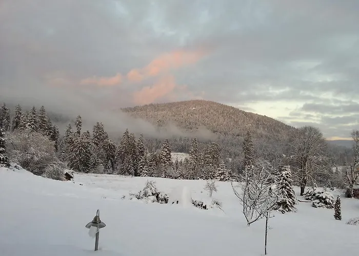 L'epinette Penzion 4*