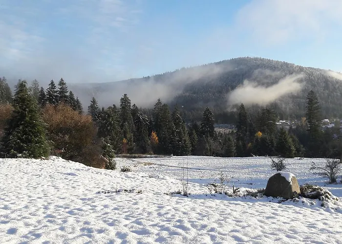 L'epinette Penzion Gérardmer