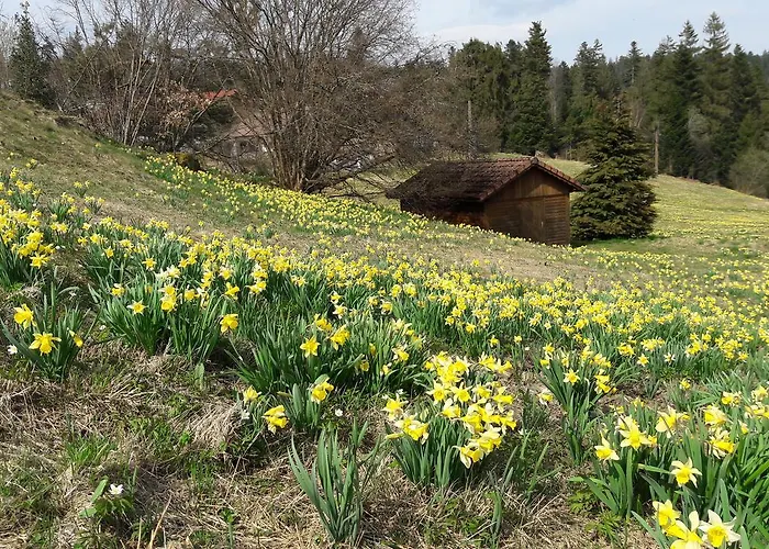 L'epinette 4* Gérardmer